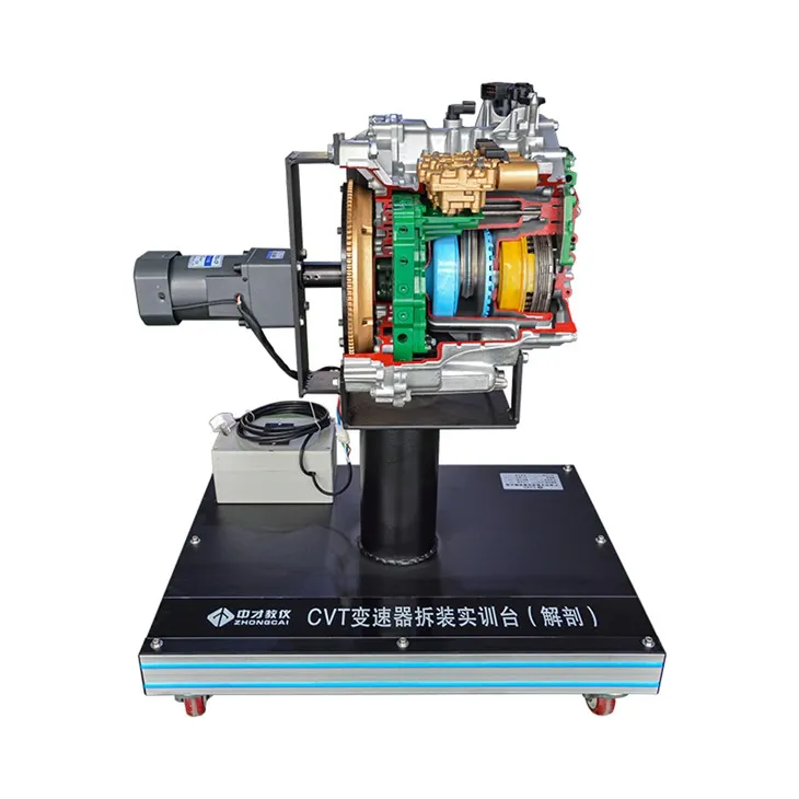 자동차 학교 장비 전송 해부 트레이너가있는 컷 어웨이 스탠드